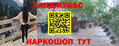 ешки Будённовск